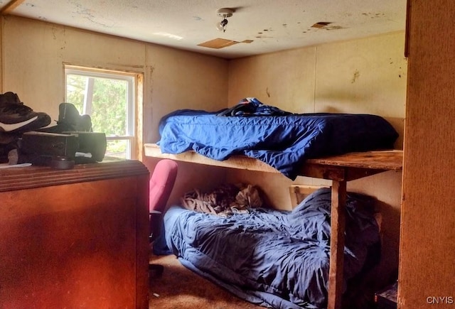 2771 Center Rd, Freetown, NY 13045 - bedroom with carpet flooring
