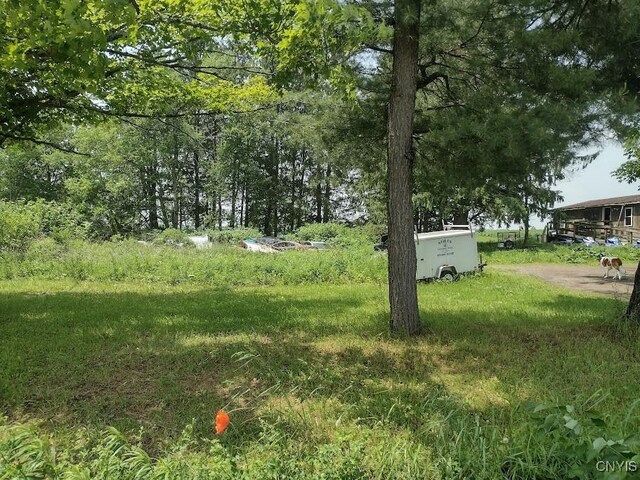 2771 Center Rd, Freetown, NY 13045 - view of yard