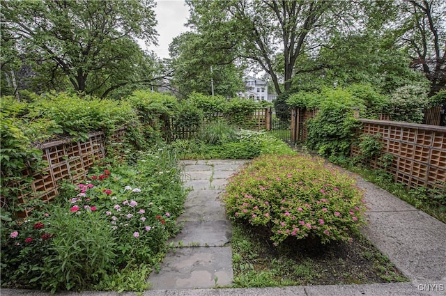 1215-29 James St, Syracuse, NY 13203 - view of yard