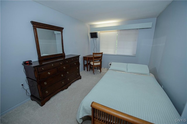 1215-29 James St, Syracuse, NY 13203 - bedroom featuring light carpet