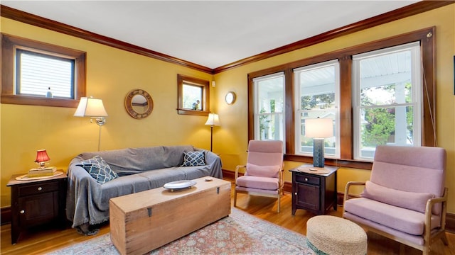 17 Varden St, Rochester, NY 14609 - living room featuring light wood-type flooring, ornamental molding, and baseboards