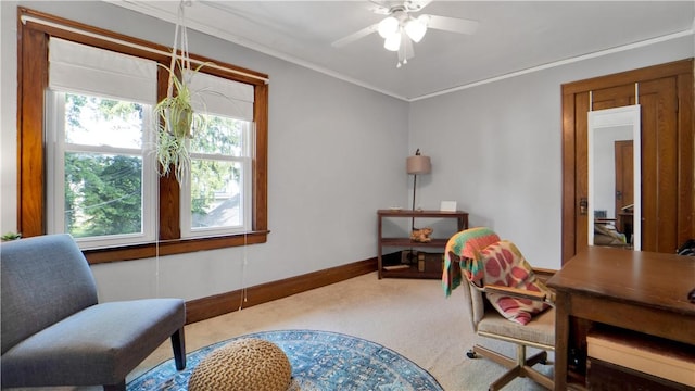 17 Varden St, Rochester, NY 14609 - office area with carpet, a ceiling fan, baseboards, and crown molding