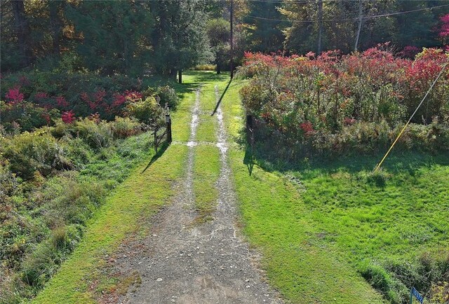 10372 Riverlawn Rd, Hume, NY 14735 - photo 26
