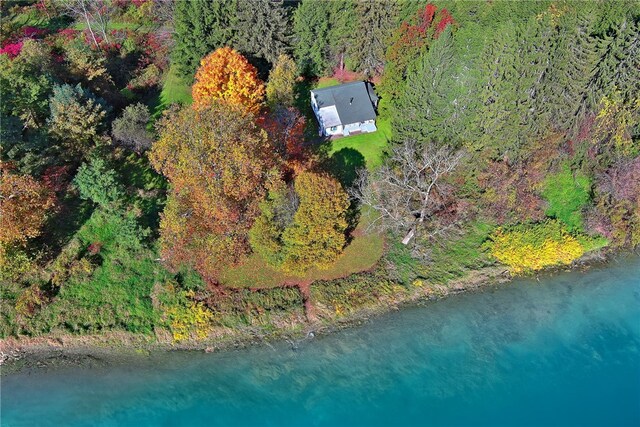 10372 Riverlawn Rd, Hume, NY 14735 - photo 27
