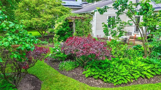 313 Pelham Rd, Brighton, NY 14610 - view of yard