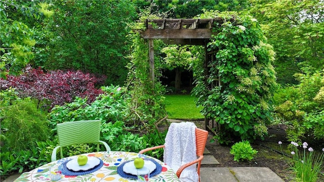 313 Pelham Rd, Brighton, NY 14610 - view of patio