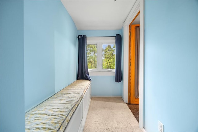 15205 W Lake Rd, Pulteney, NY 14418 - corridor with baseboards and carpet floors