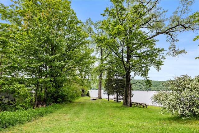 15205 W Lake Rd, Pulteney, NY 14418 - view of green lawn with a water view