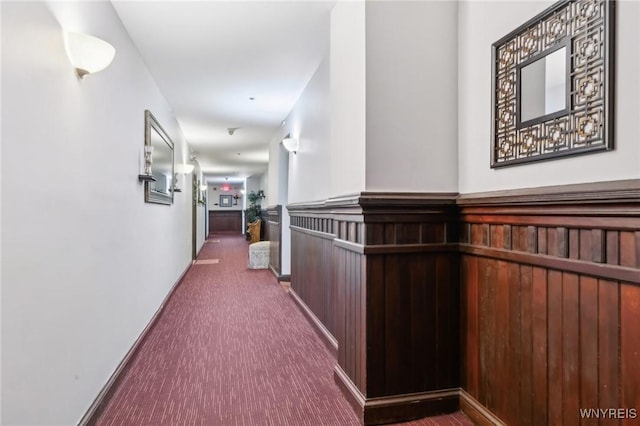 231 Richmond Ave Unit 4, Buffalo, NY 14222 - hall with carpet and wainscoting