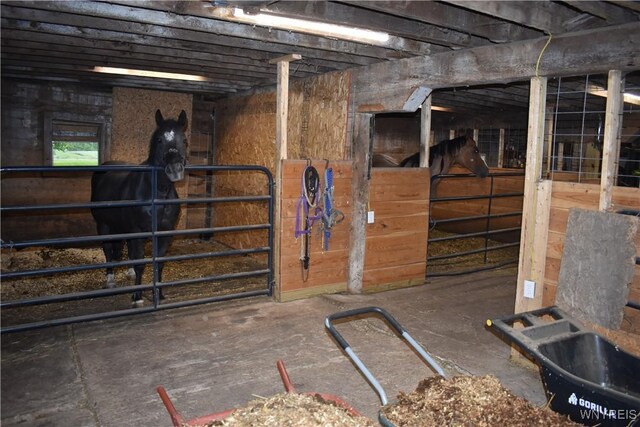 4571 Budd Rd, Cambria, NY 14094 - view of stable