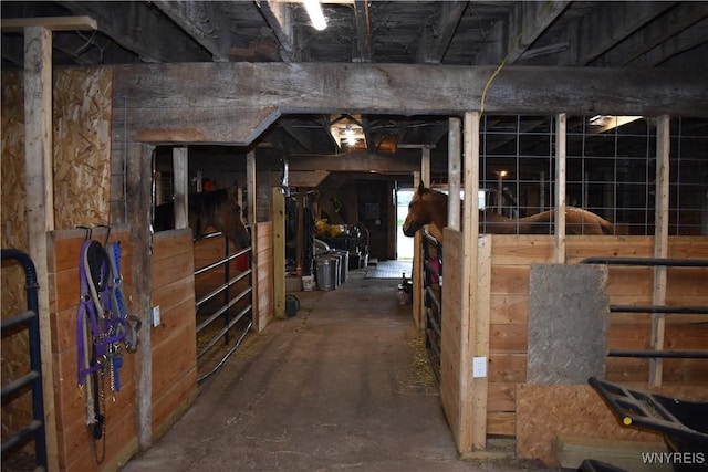 4571 Budd Rd, Cambria, NY 14094 - view of horse barn