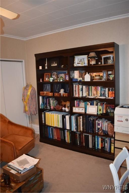 4571 Budd Rd, Cambria, NY 14094 - living area with ornamental molding and carpet floors