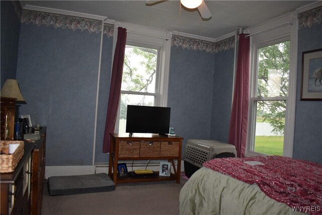 4571 Budd Rd, Cambria, NY 14094 - bedroom with carpet, crown molding, and a ceiling fan