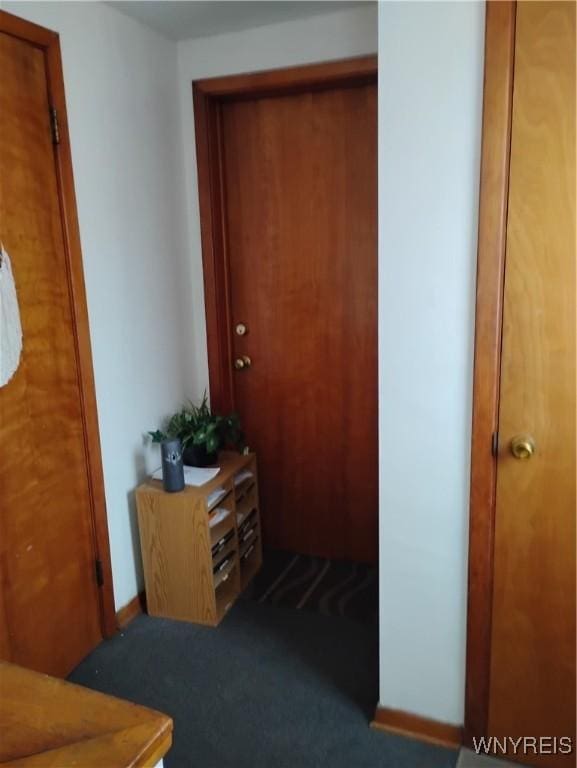 72 Nicholson St, Buffalo, NY 14214 - hall with carpet
