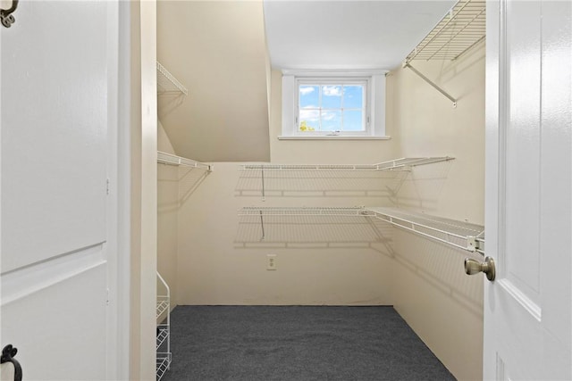 707 Hubbell Rd, Ogden, NY 14428 - walk in closet with carpet