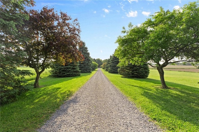 707 Hubbell Rd, Ogden, NY 14428 - surrounding community with a yard