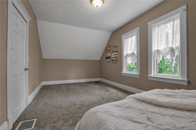 48 Weyand Ave, Buffalo, NY 14210 - photo 29