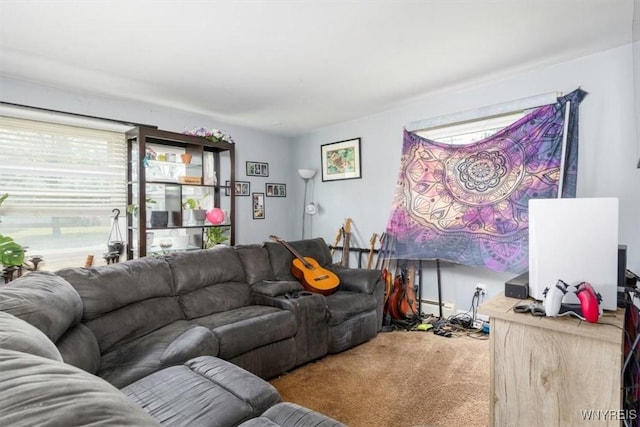 596 Longmeadow Rd, Amherst, NY 14226 - living area with carpet floors and baseboard heating