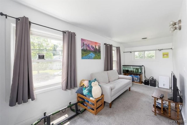 596 Longmeadow Rd, Amherst, NY 14226 - view of carpeted living room