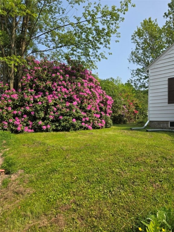 30 Park Ave, Eldred, PA 16731 - view of green lawn
