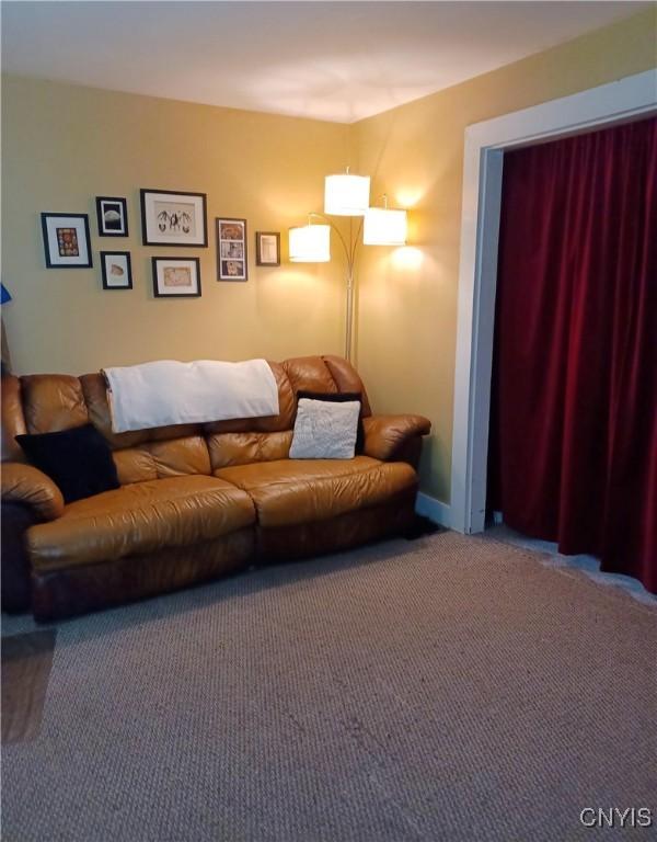 58-60 Lansing St, Auburn, NY 13021 - living area featuring carpet floors