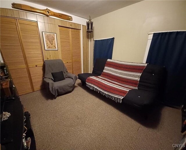 58-60 Lansing St, Auburn, NY 13021 - bedroom featuring carpet flooring