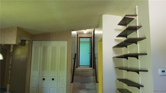 6856 E High St, Lockport Town, NY 14094 - photo 11