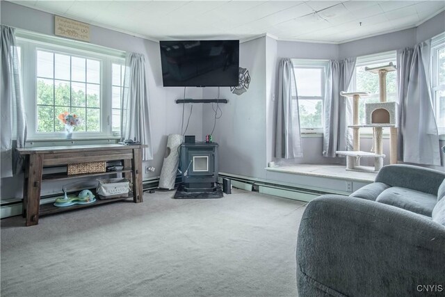 18916 State Route 3, Hounsfield, NY 13601 - living room featuring a wood stove, carpet floors, and ornamental molding