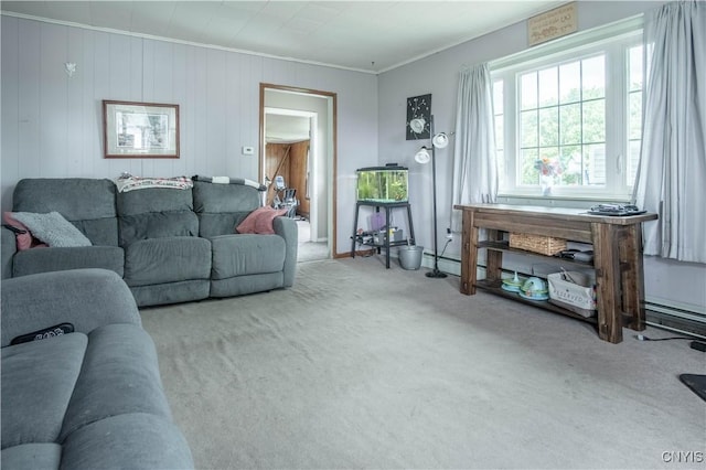 18916 State Route 3, Hounsfield, NY 13601 - living area with carpet floors and crown molding