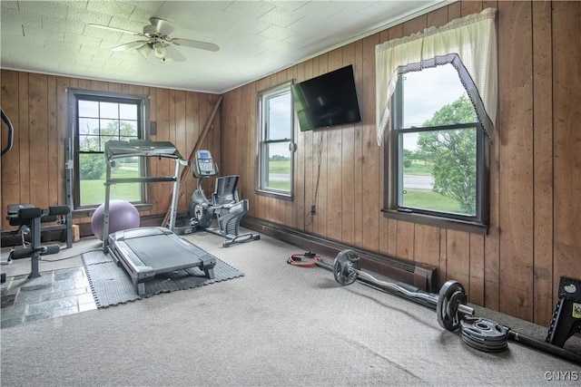18916 State Route 3, Hounsfield, NY 13601 - exercise area with wooden walls, ceiling fan, and carpet