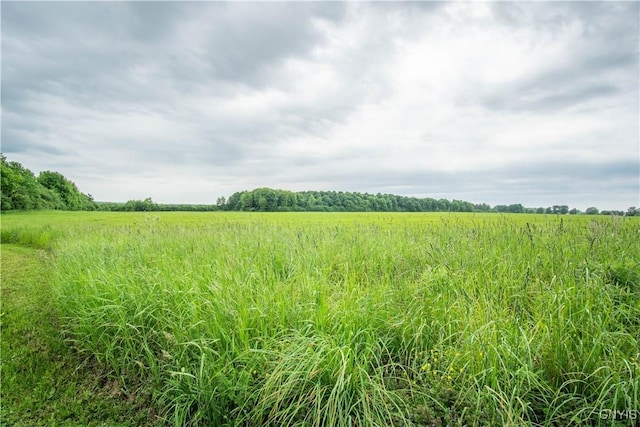 18916 State Route 3, Hounsfield, NY 13601 - view of local wilderness with rural landscape