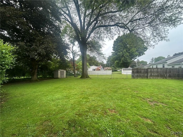 719 Dawes Ave, Utica, NY 13502 - view of yard