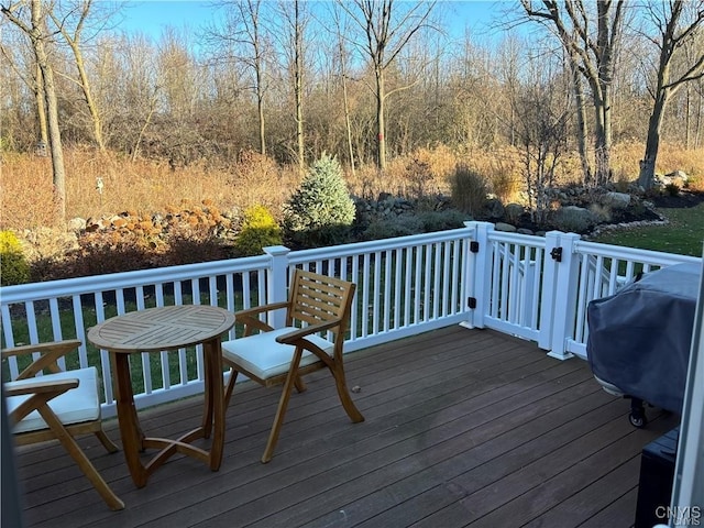 4521 Lauder Ln, Skaneateles, NY 13152 - photo 44