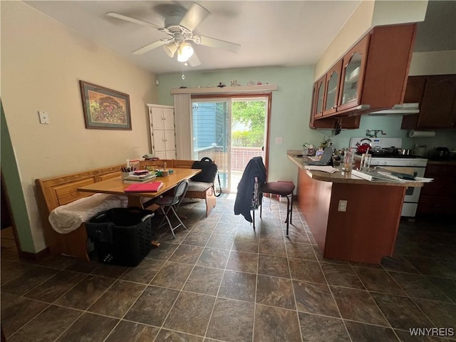 272 Dewitt St, Buffalo, NY 14213 - dining room with a ceiling fan