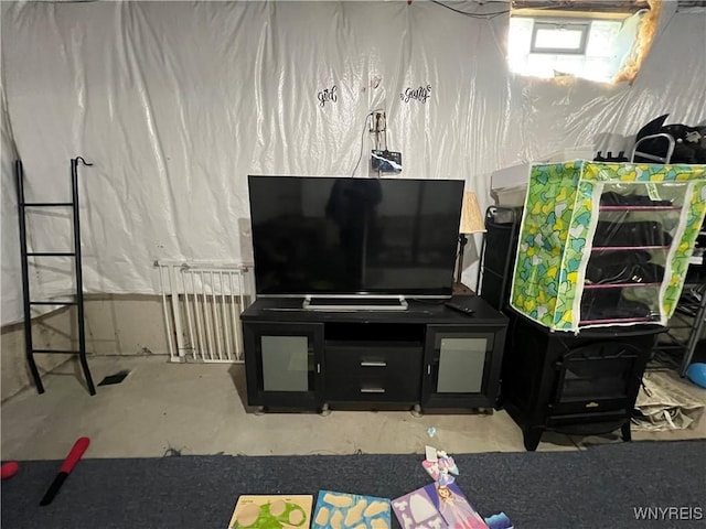 272 Dewitt St, Buffalo, NY 14213 - view of basement