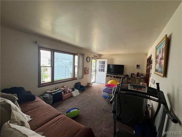 272 Dewitt St, Buffalo, NY 14213 - carpeted living room with plenty of natural light