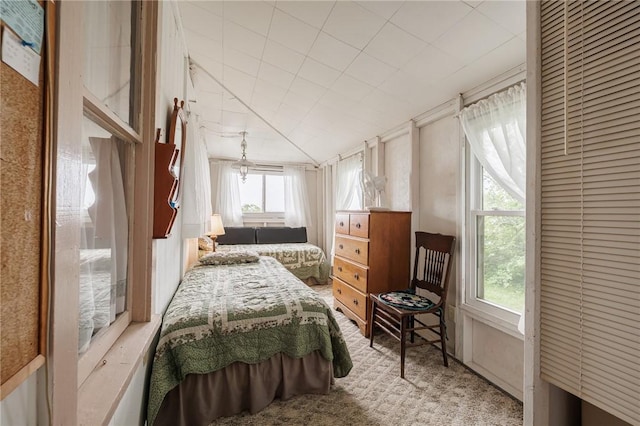 7732 Lake Blf, Huron, NY 14590 - view of carpeted bedroom