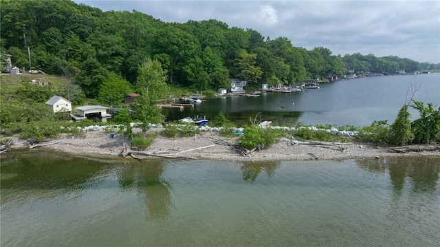 7732 Lake Blf, Huron, NY 14590 - water view featuring a heavily wooded area
