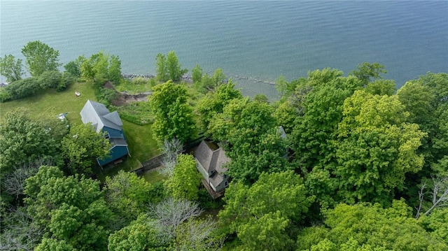 7732 Lake Blf, Huron, NY 14590 - aerial view of property's location