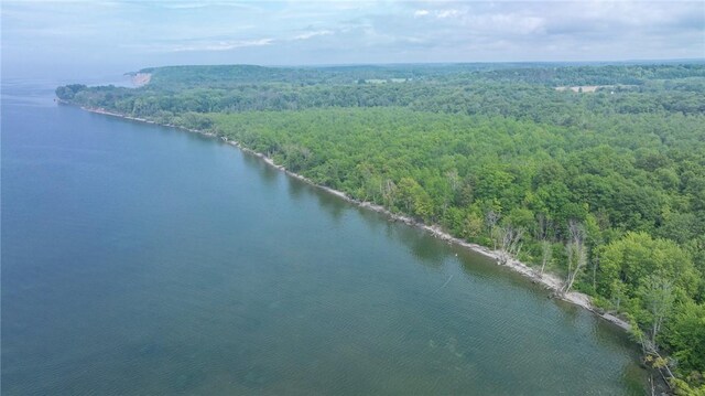 7732 Lake Blf, Huron, NY 14590 - aerial view of a forest and a nearby body of water