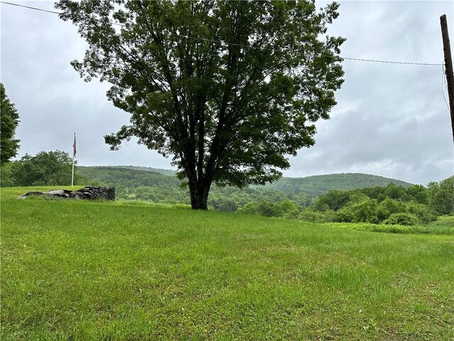 1123 Herrick Hollow Rd, Tompkins, NY 13839 - photo 30