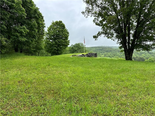 1123 Herrick Hollow Rd, Tompkins, NY 13839 - photo 31