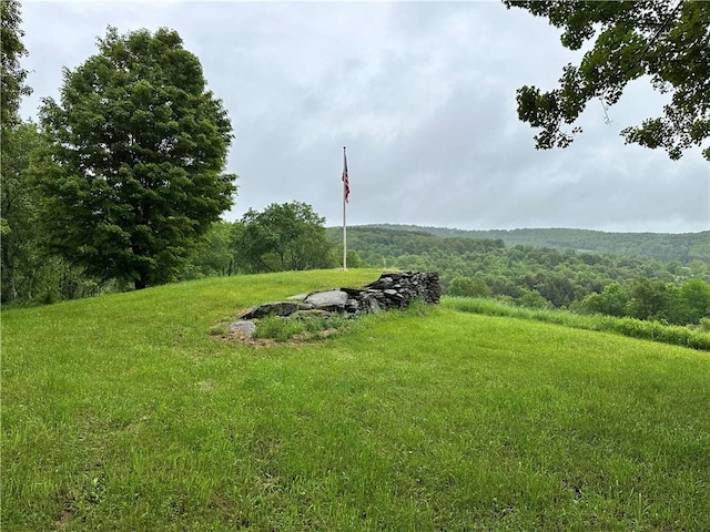 1123 Herrick Hollow Rd, Tompkins, NY 13839 - photo 32