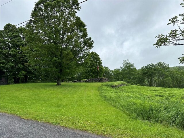 1123 Herrick Hollow Rd, Tompkins, NY 13839 - photo 33