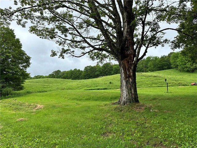1123 Herrick Hollow Rd, Tompkins, NY 13839 - photo 34