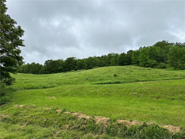 1123 Herrick Hollow Rd, Tompkins, NY 13839 - photo 35