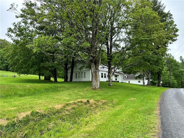 1123 Herrick Hollow Rd, Tompkins, NY 13839 - photo 36