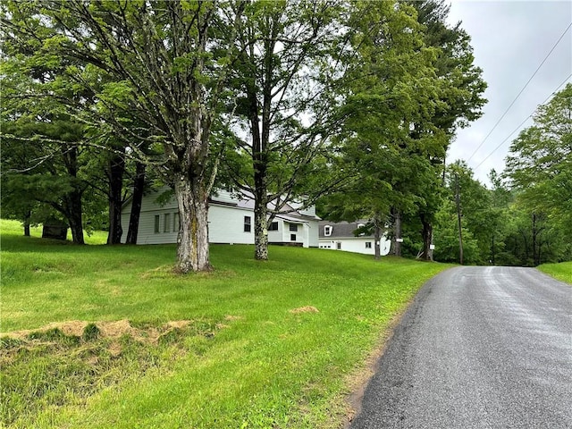 1123 Herrick Hollow Rd, Tompkins, NY 13839 - photo 37