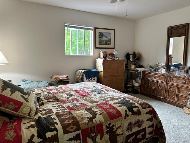 1123 Herrick Hollow Rd, Tompkins, NY 13839 - photo 20