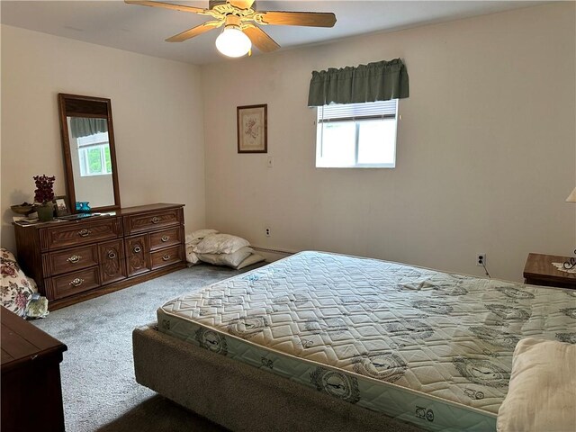 1123 Herrick Hollow Rd, Tompkins, NY 13839 - photo 26
